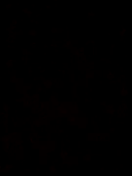 Snapshot of Feli230990 chatting on 10-08-25, 07:50 Feli230990 online show from 10-08-25, 07:50