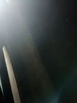 Snapshot of Kajaldx chatting on 01-12-26, 06:24 Kajaldx online show from 01-12-26, 06:24