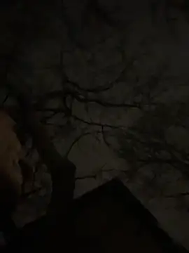 -yakimov- online show from 01-31-26, 07:34