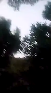 Danna-linyi online show from 12-20-24, 11:37