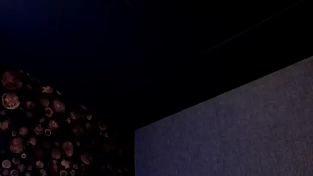 Snapshot of ArtemisaBlake chatting on 03-18-25, 08:04 ArtemisaBlake online show from 03-18-25, 08:04