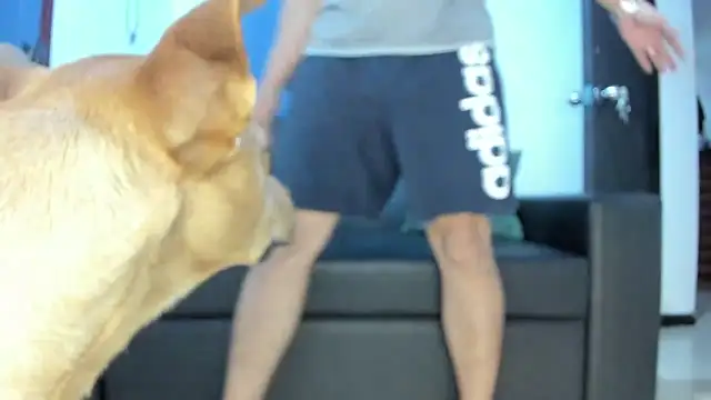 Snapshot of boss_of_cash chatting on 10-18-25, 01:30 boss of cash online show from 10-18-25, 01:30