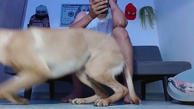 boss of cash online show from 04-02-26, 08:28