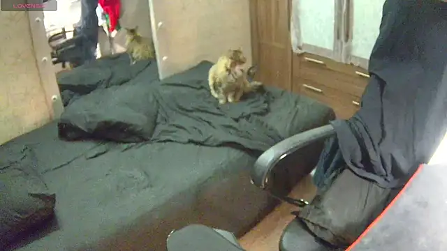 Julia dolls online show from 12-14-24, 07:03