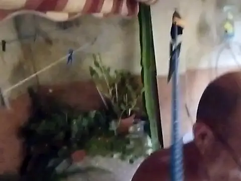 soy 5 online show from 09-10-25, 08:53