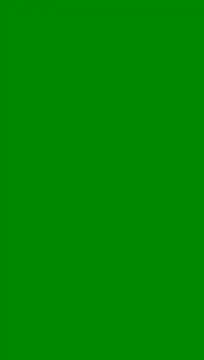 soy 5 online show from 07-27-26, 04:14