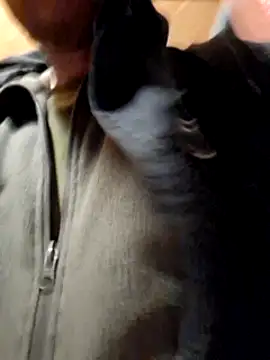 Romakappa1812 online show from 04-01-26, 06:38