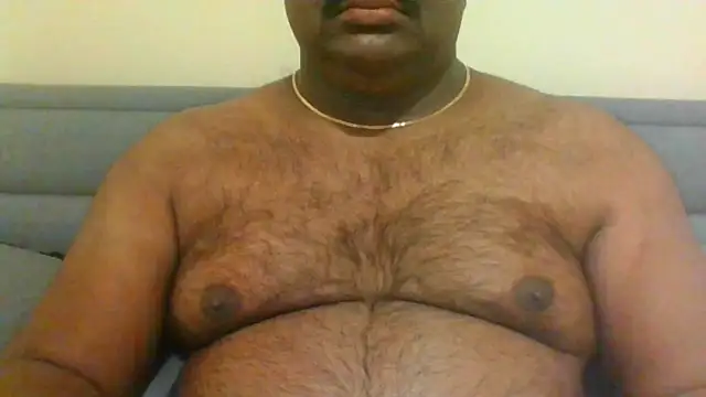 indianbearbot online show from 01-11-25, 08:54