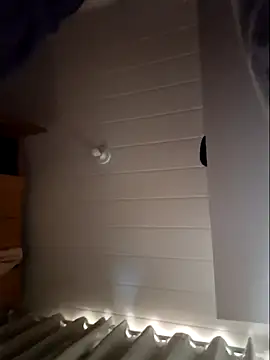 Leinad27 online show from 11-20-25, 03:45