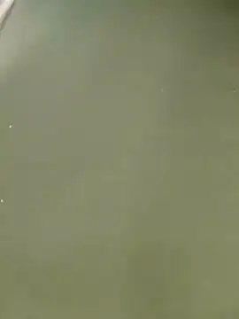 Miss balloonsmila online show from 01-22-25, 09:54