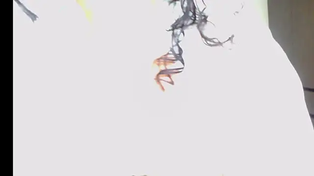 Snapshot of arianna_ros3 chatting on 02-16-26, 02:18 arianna ros3 online show from 02-16-26, 02:18