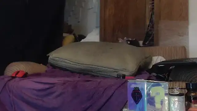 Snapshot of SecZorgan chatting on 11-01-25, 03:03 SecZorgan online show from 11-01-25, 03:03