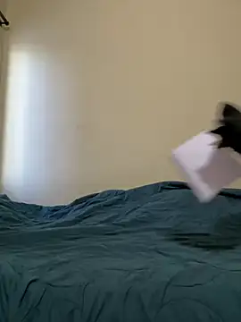 Snapshot of priyadevi17 chatting on 01-23-25, 02:44 priyadevi17 online show from 01-23-25, 02:44