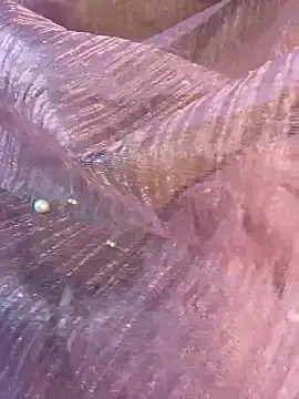 honeyboobies7249 online show from 01-14-26, 06:46