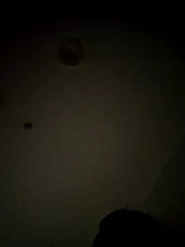 jonols781 online show from 01-29-25, 10:58