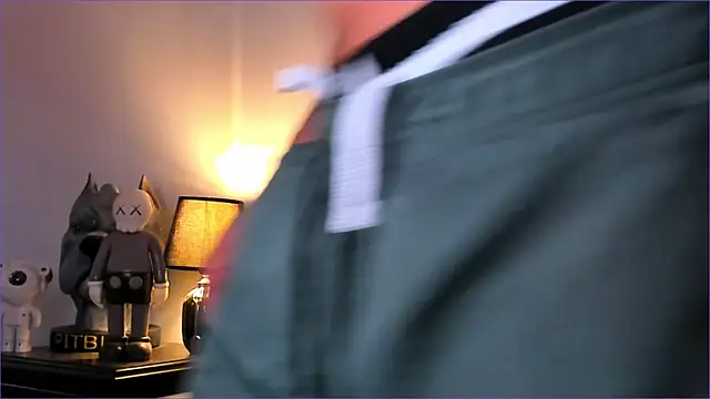 Snapshot of BradLeon_ chatting on 11-23-25, 09:36 BradLeon online show from 11-23-25, 09:36