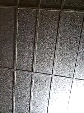 zaneporter46 online show from 03-14-25, 05:59