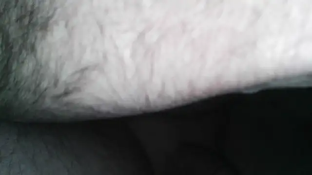Snapshot of henry_county_couple2 chatting on 04-30-26, 04:41 henry county couple2 online show from 04-30-26, 04:41
