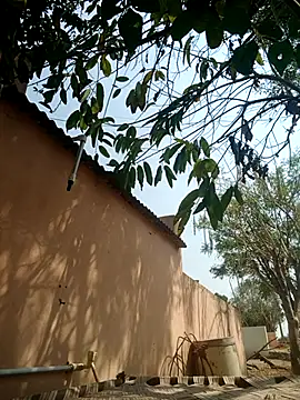 Snapshot of carria_homes chatting on 03-14-25, 09:14 carria homes online show from 03-14-25, 09:14