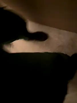 Snapshot of atoy3333 chatting on 09-17-25, 03:46 atoy3333 online show from 09-17-25, 03:46