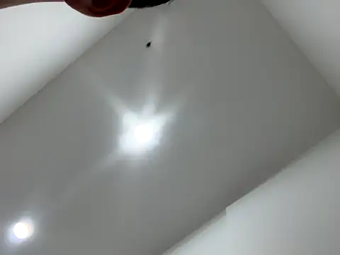 Snapshot of Sexocokin chatting on 12-16-25, 01:16 Sexocokin online show from 12-16-25, 01:16