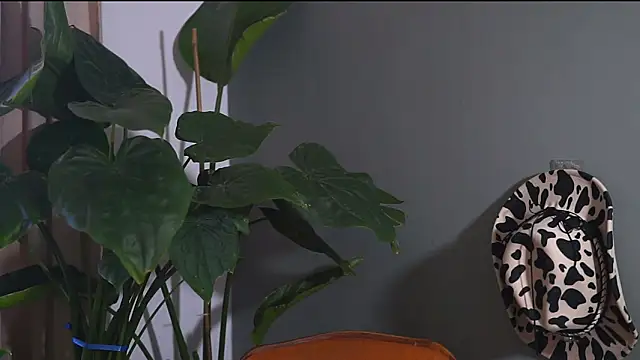 Snapshot of HairyRobxxx chatting on 09-20-25, 10:05 HairyRobxxx online show from 09-20-25, 10:05