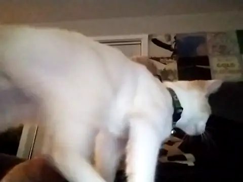 Futura intx online show from 09-12-25, 01:17