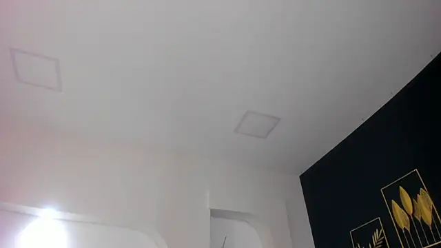 Snapshot of sara__jones_gh chatting on 11-26-25, 04:41 sara jones gh online show from 11-26-25, 04:41