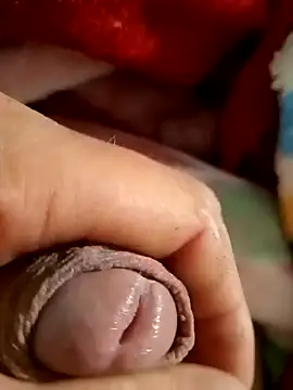 mmarvis za78 93 21cm online show from 02-09-25, 02:38