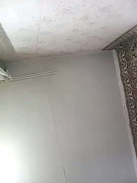 Lauren Amabel online show from 11-12-25, 08:30