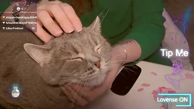 Snapshot of LesyaOxi chatting on 01-11-25, 11:45 LesyaOxi online show from 01-11-25, 11:45