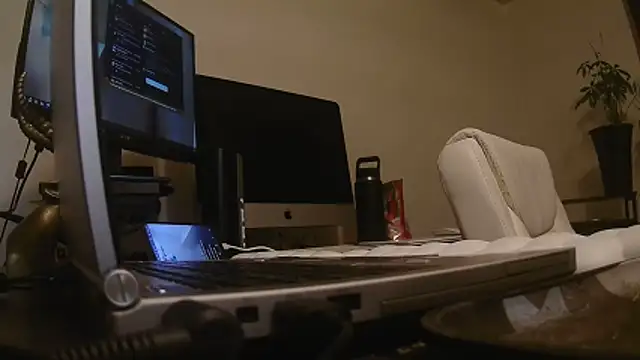 MrDaddyBbSnake online show from 04-24-26, 02:03