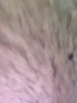 TOPMOON001 online show from 03-07-25, 06:24