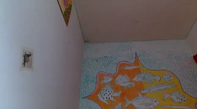 boysLittle online show from 02-05-25, 02:59