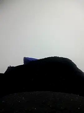 CHARLOTTE 1711 online show from 10-11-25, 03:39