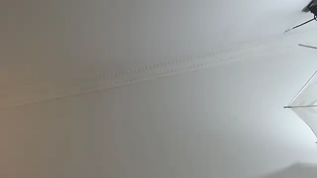 Snapshot of BrandonColee chatting on 02-10-25, 12:29 BrandonColee online show from 02-10-25, 12:29