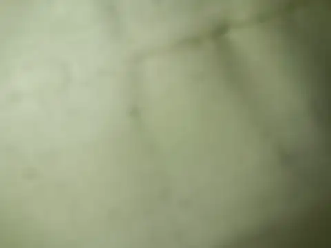 Ktosik88 online show from 01-18-26, 07:50