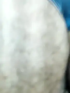 Snapshot of HGKNSS chatting on 04-10-26, 06:34 HGKNSS online show from 04-10-26, 06:34