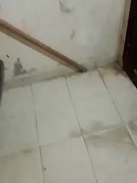 Jinenez online show from 02-26-25, 08:37