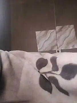 LaneYam online show from 04-09-26, 05:51