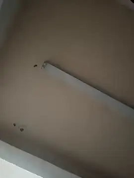 boyvergon online show from 01-17-25, 06:36