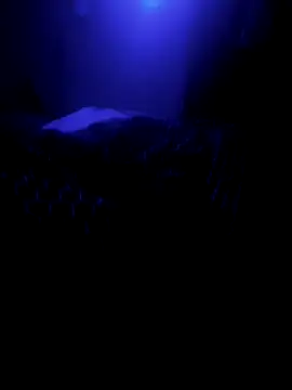 Snapshot of Raziv_komal143 chatting on 02-26-25, 12:16 Raziv komal143 online show from 02-26-25, 12:16