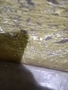 Southindian6996 online show from 02-26-25, 04:24