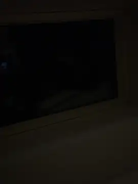 Snapshot of wyattstone chatting on 02-20-26, 04:20 wyattstone online show from 02-20-26, 04:20