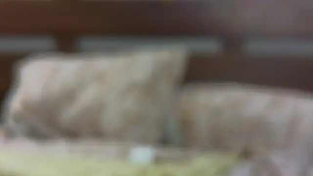 Snapshot of SallyCha chatting on 02-18-25, 12:15 SallyCha online show from 02-18-25, 12:15