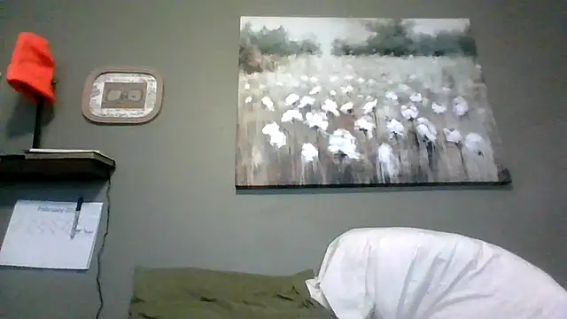 Snapshot of HarvryBlaze chatting on 02-16-26, 12:29 HarvryBlaze online show from 02-16-26, 12:29