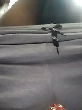 knightwolf9935 online show from 01-30-25, 12:48