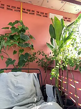 White Lu online show from 04-14-26, 02:17