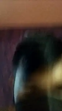 randit7 online show from 01-27-25, 02:42