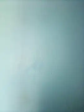 randit7 online show from 03-01-25, 06:35